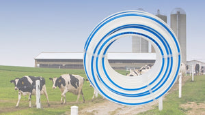 Tailor-made Wash Down Hose for the Dairy Industry
