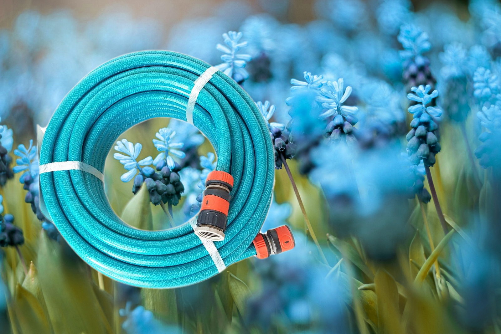 Hoses