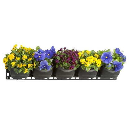 Premium Vertical Garden Kit